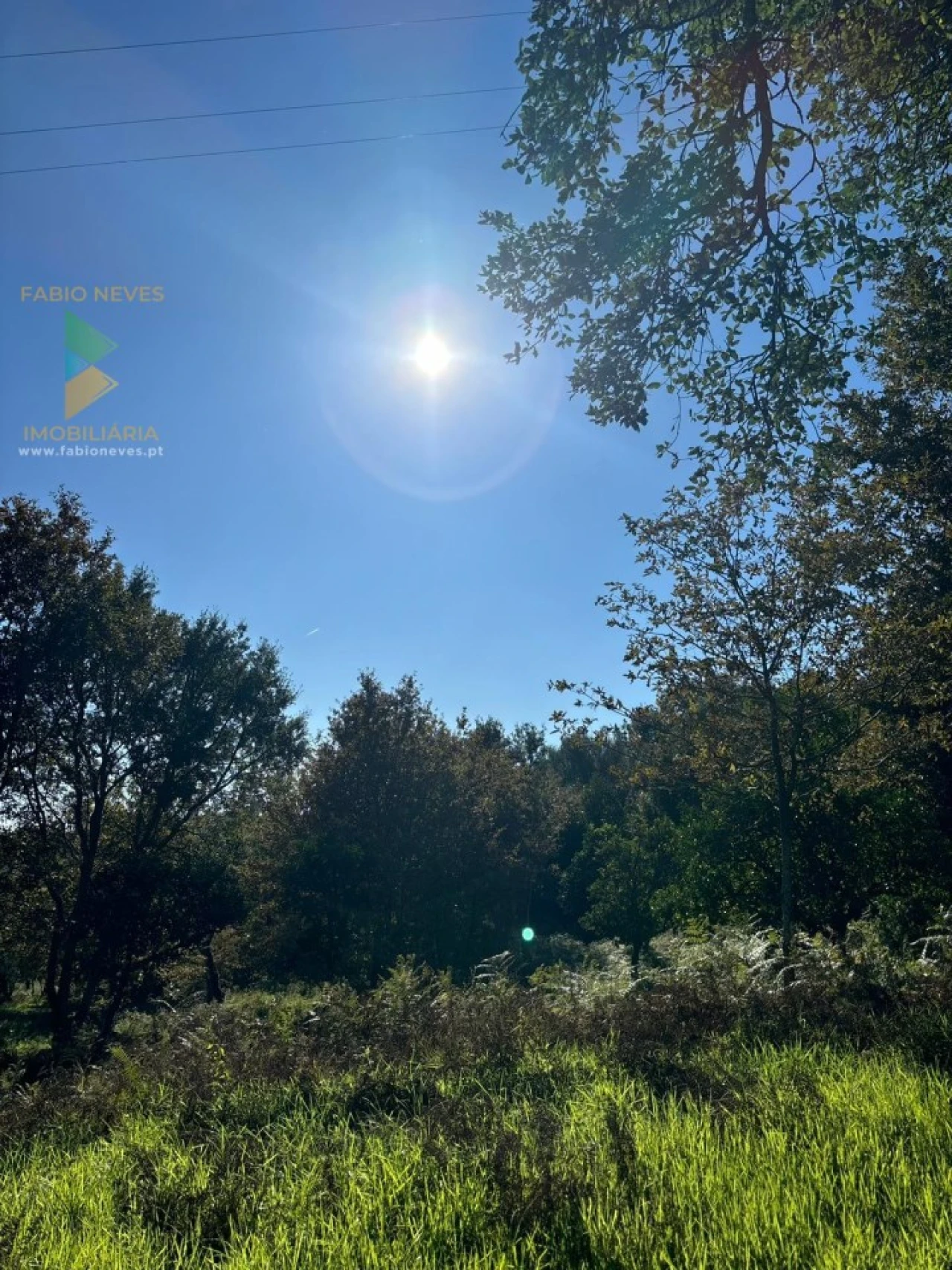 Terreno para Venda em Vila Verde e Barbudo Foto 24