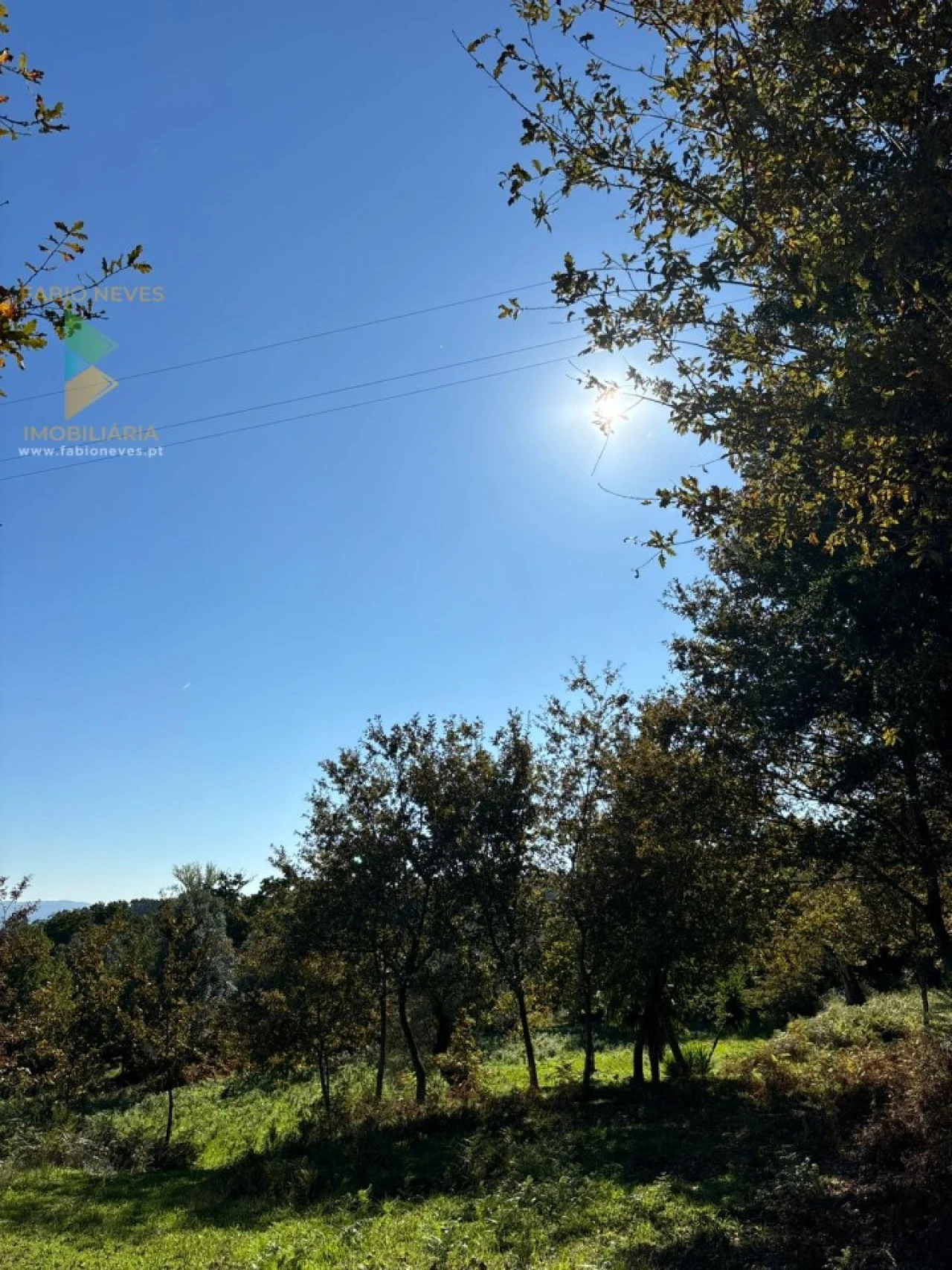 Terreno para Venda em Vila Verde e Barbudo Foto 25