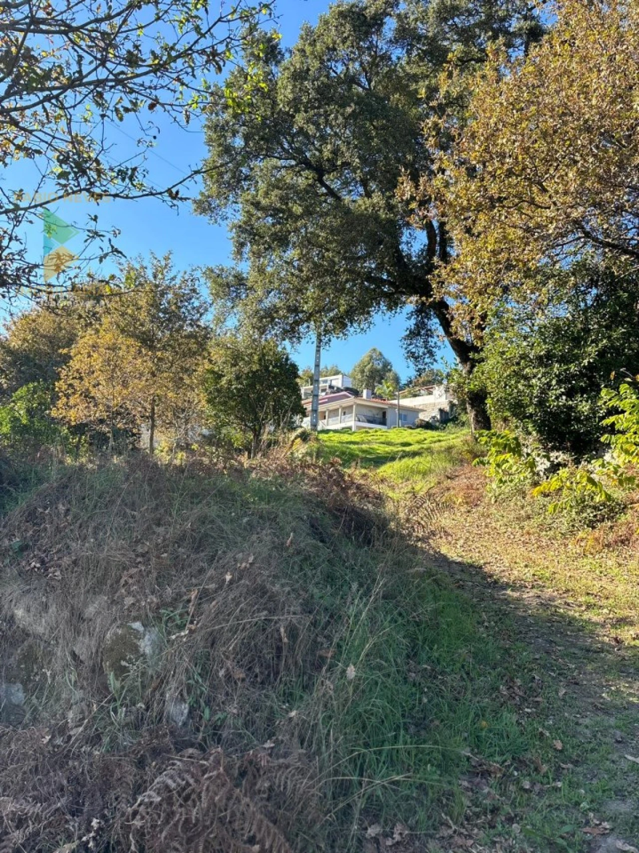 Terreno para Venda em Vila Verde e Barbudo Foto 26