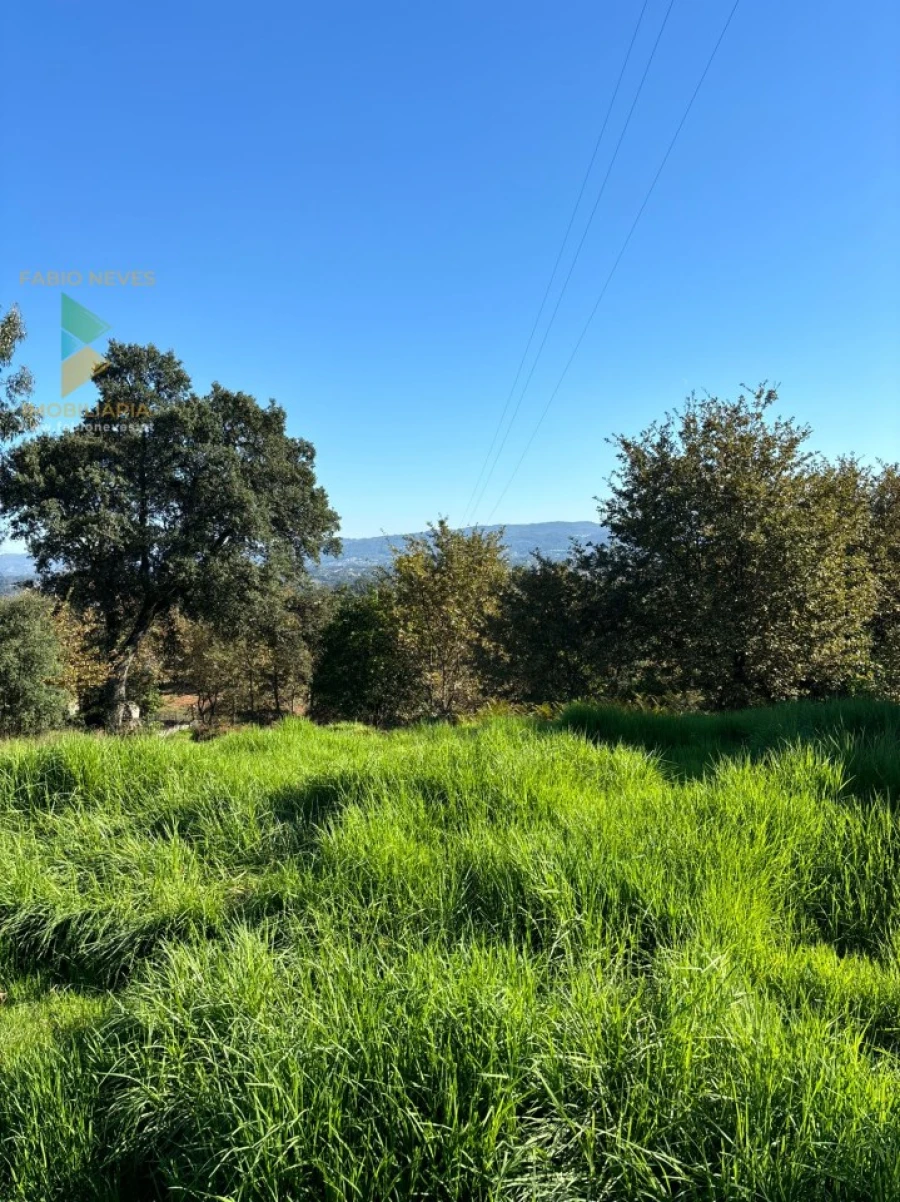 Terreno para Venda em Vila Verde e Barbudo Foto 12