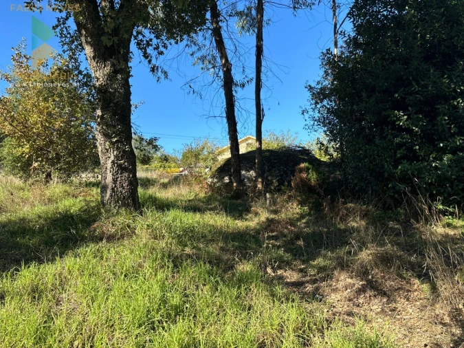 Terreno para Venda em Vila Verde e Barbudo Foto 13