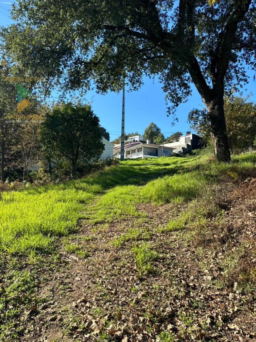 Terreno para Venda em Vila Verde e Barbudo Foto 19