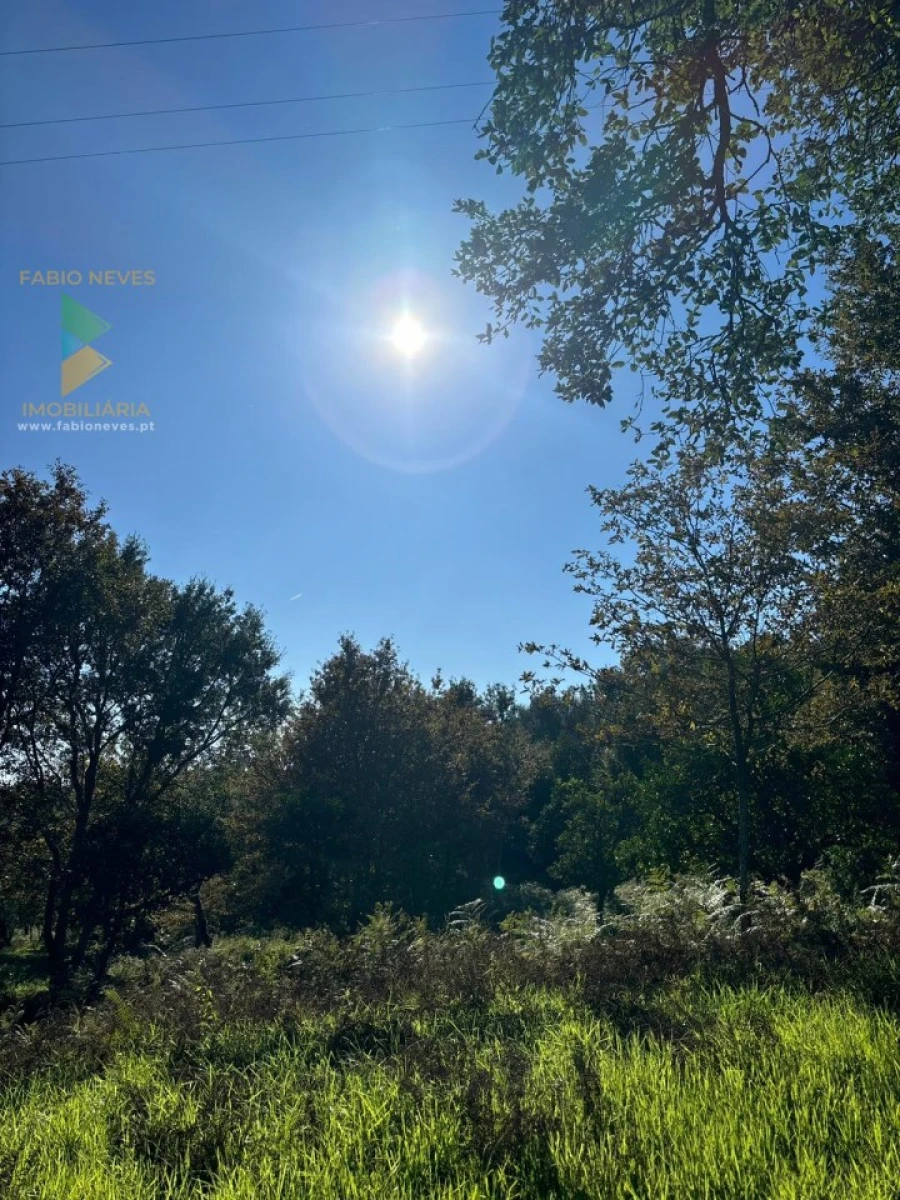 Terreno para Venda em Vila Verde e Barbudo Foto 24