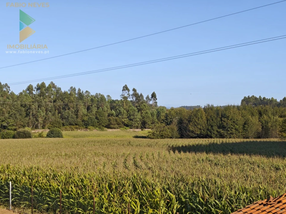Terreno para Venda em Ardegão, Freixo e Mato Foto 2