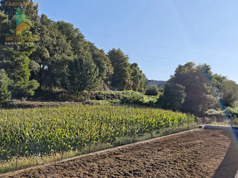 Terreno para Venda em Ardegão, Freixo e Mato Foto 3