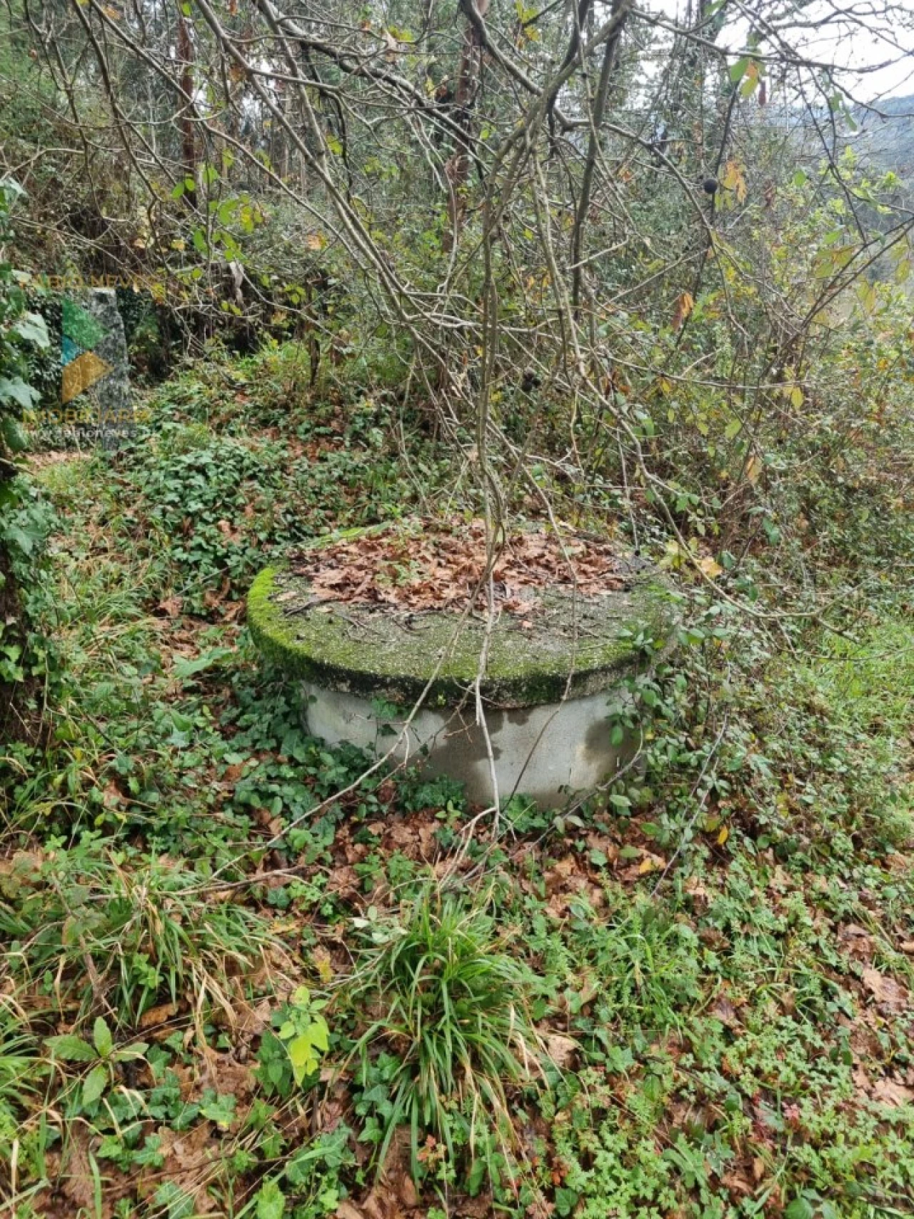 Terreno para Venda em Refoios do Lima Foto 4