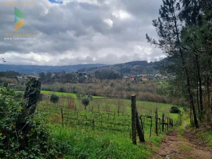 Terreno para Venda em Refoios do Lima Foto 3