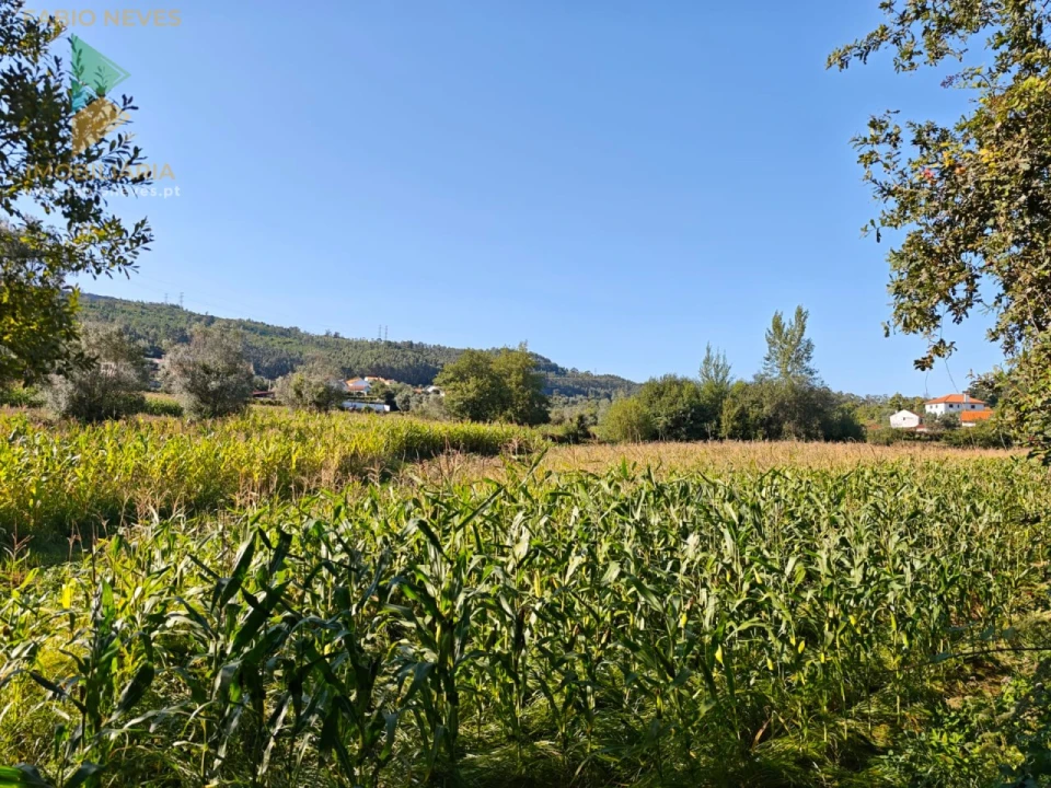 Moradia T4 para Venda em Cabaços e Fojo Lobal Foto 7