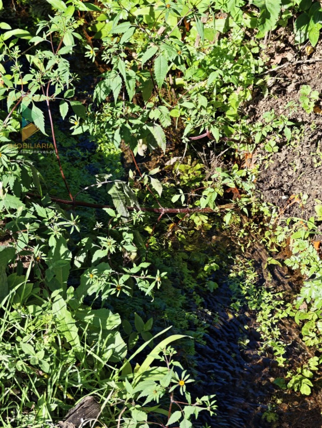 Moradia T4 para Venda em Cabaços e Fojo Lobal Foto 17