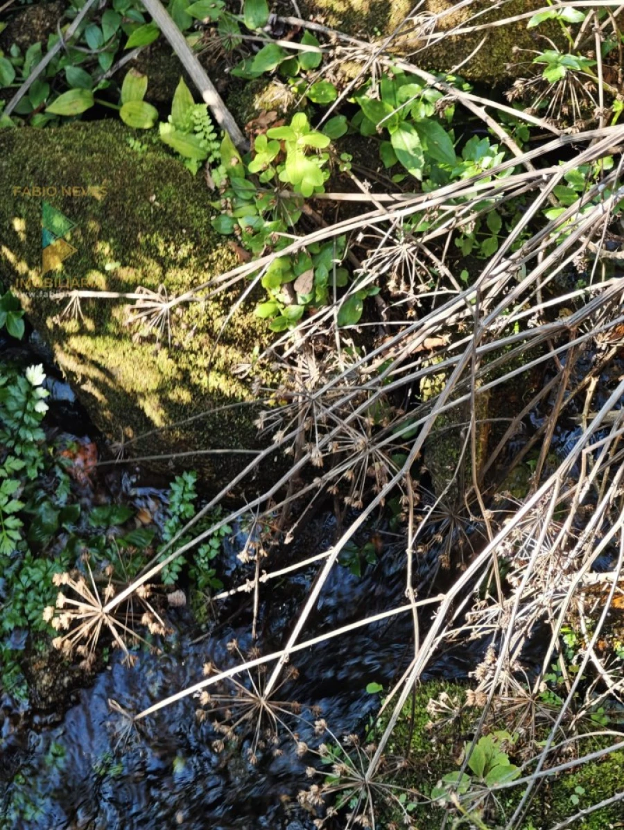 Moradia T4 para Venda em Cabaços e Fojo Lobal Foto 6