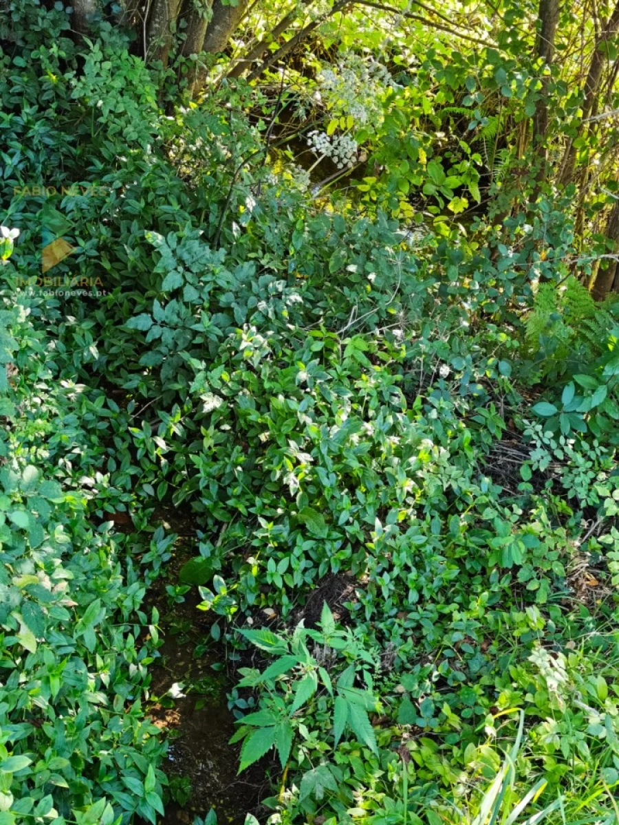 Moradia T4 para Venda em Cabaços e Fojo Lobal Foto 16