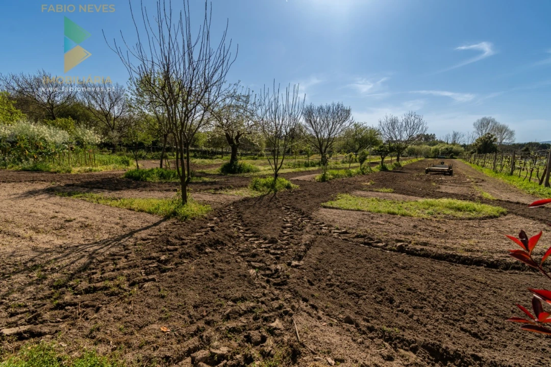 Quinta T4 para Venda em Palmeira Foto 55