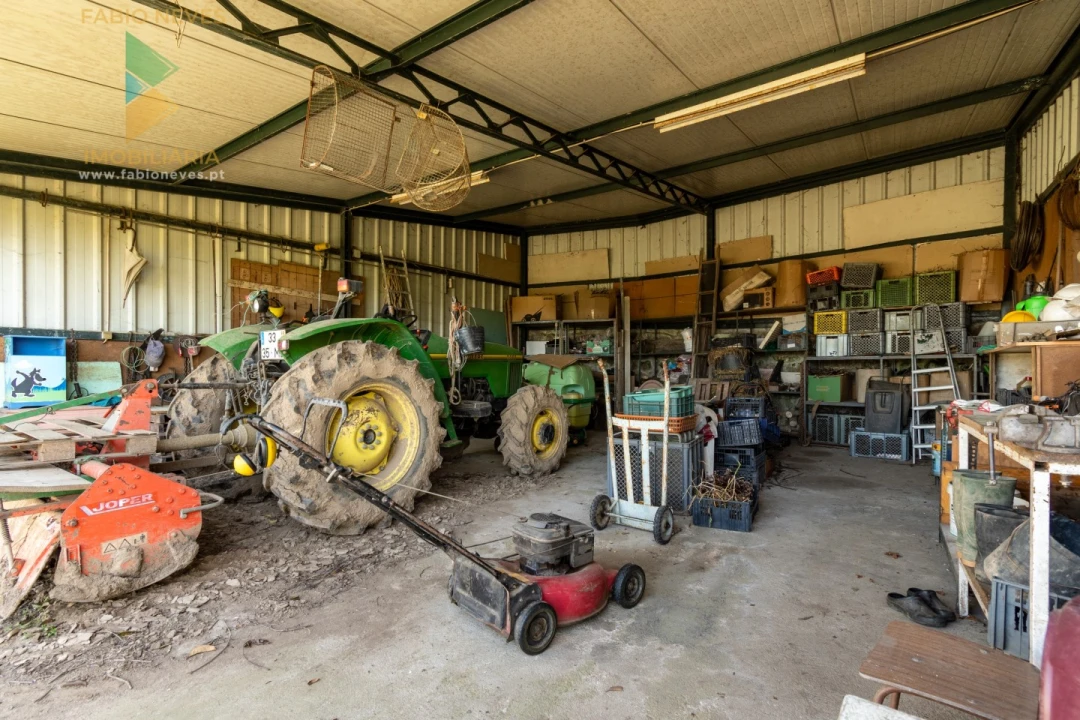 Quinta T4 para Venda em Palmeira Foto 56