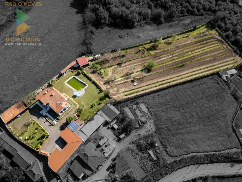 Quinta T4 para Venda em Palmeira Foto 68