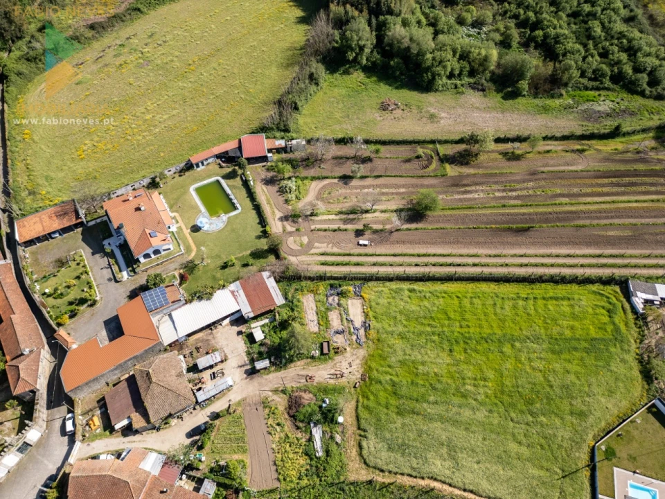 Quinta T4 para Venda em Palmeira Foto 69