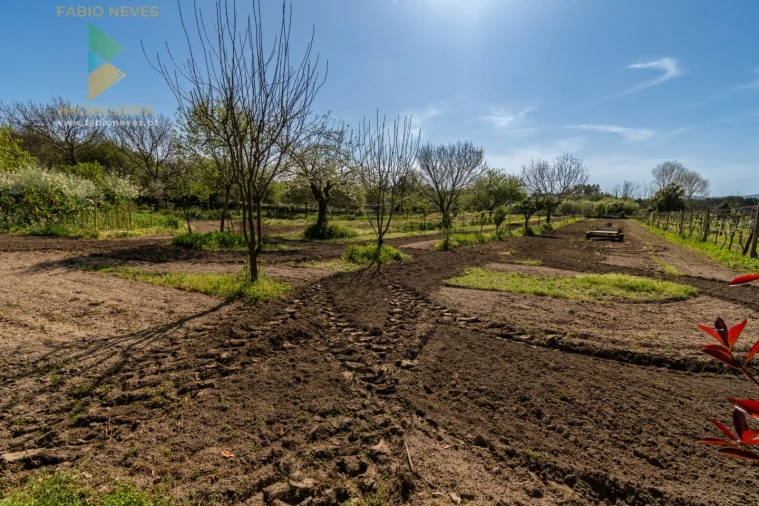 Quinta T4 para Venda em Palmeira Foto 55
