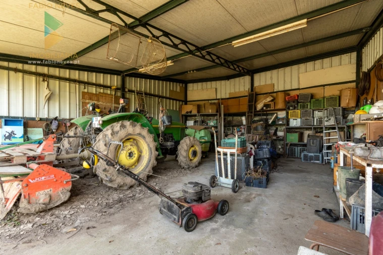 Quinta T4 para Venda em Palmeira Foto 56