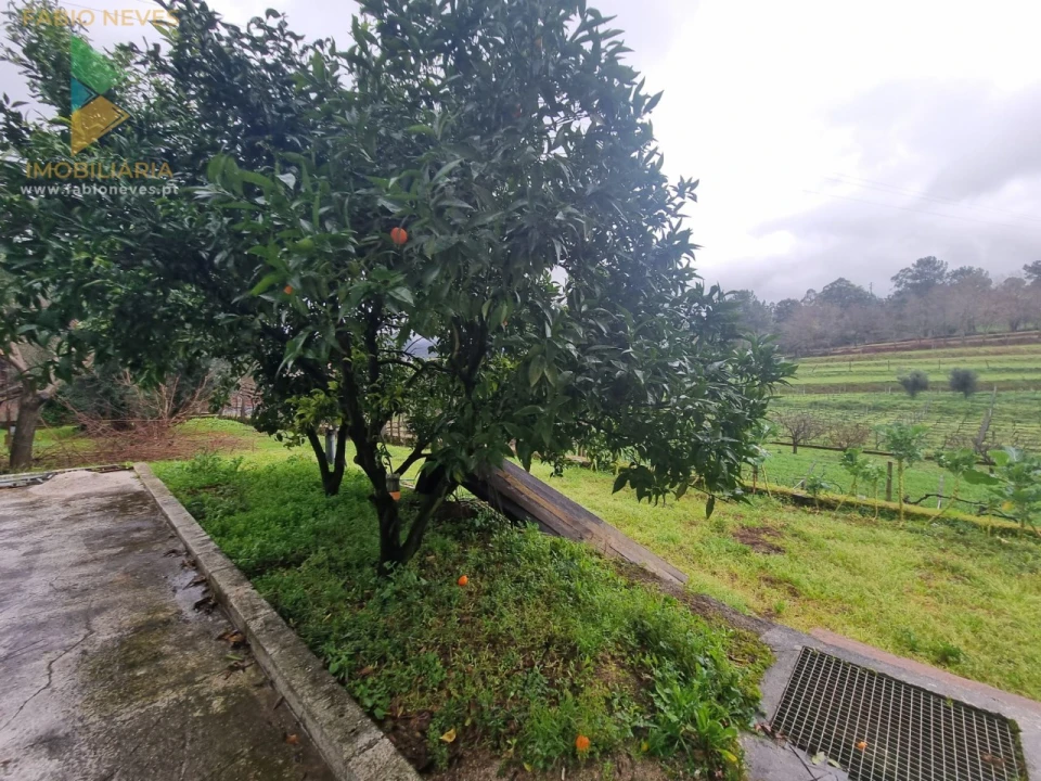 Moradia T4 para Venda em Arca e Ponte de Lima Foto 6