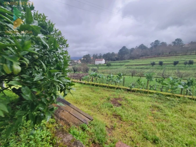 Moradia T4 para Venda em Arca e Ponte de Lima Foto 5