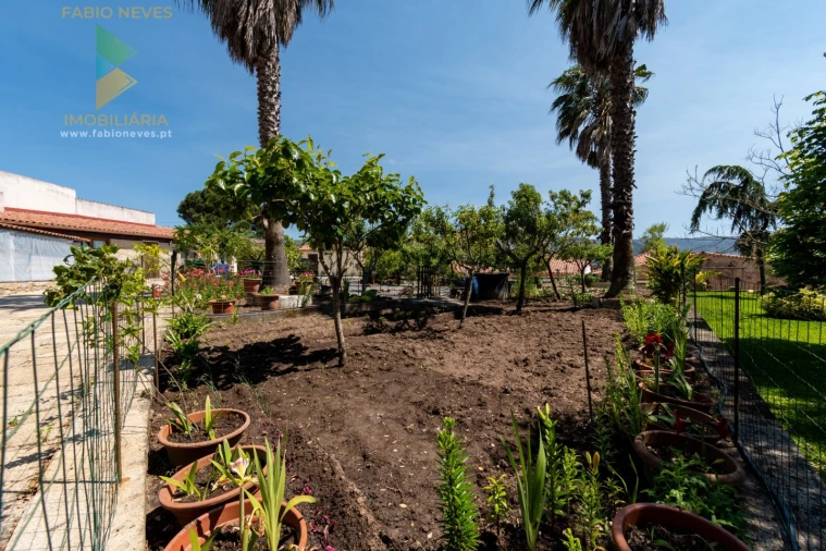 Quinta T4 para Venda em Fontão Foto 45