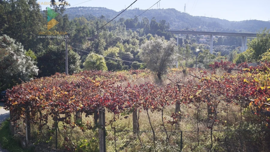 Terreno para Venda em Rebordões (Souto) Foto 3