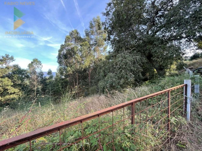 Terreno para Venda em Rio Frio Foto 2