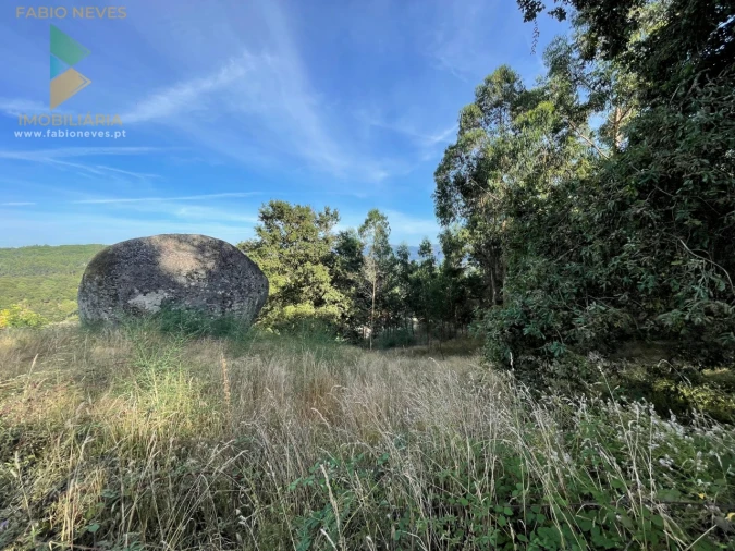 Terreno para Venda em Rio Frio Foto 3