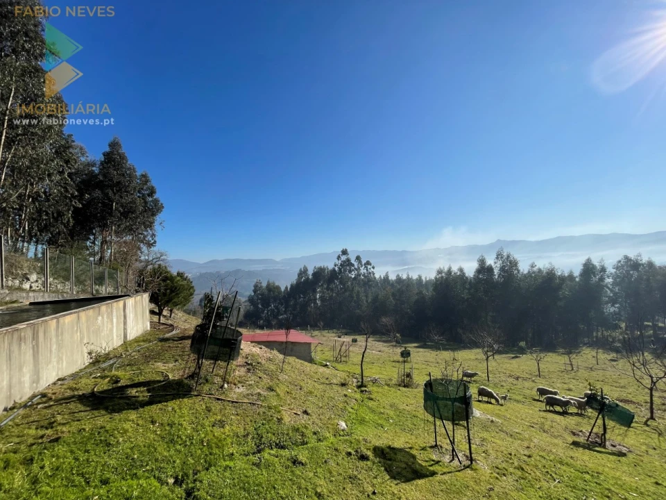 Terreno para Venda em Padreiro (Salvador e Santa Cristina) Foto 4