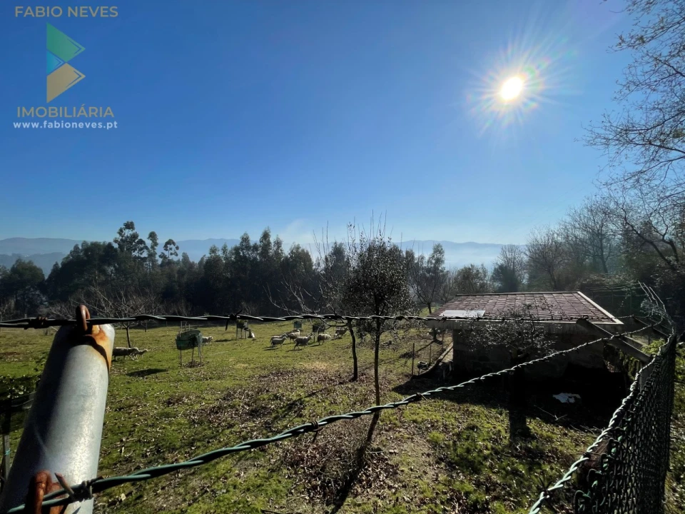 Terreno para Venda em Padreiro (Salvador e Santa Cristina) Foto 8
