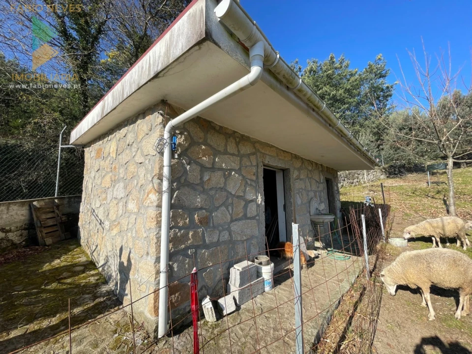 Terreno para Venda em Padreiro (Salvador e Santa Cristina) Foto 14
