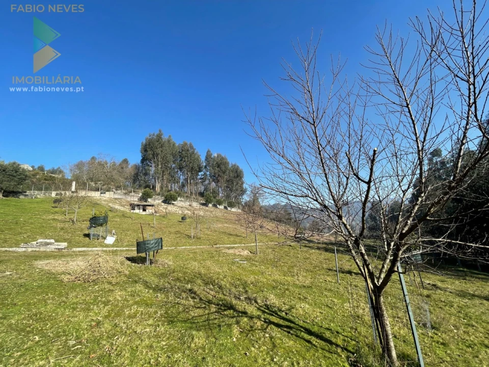 Terreno para Venda em Padreiro (Salvador e Santa Cristina) Foto 15