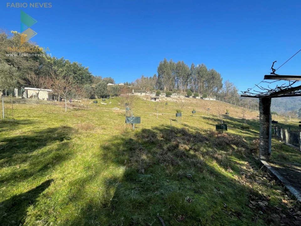 Terreno para Venda em Padreiro (Salvador e Santa Cristina) Foto 19
