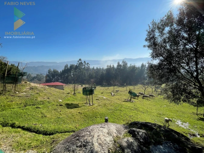Terreno para Venda em Padreiro (Salvador e Santa Cristina) Foto 6