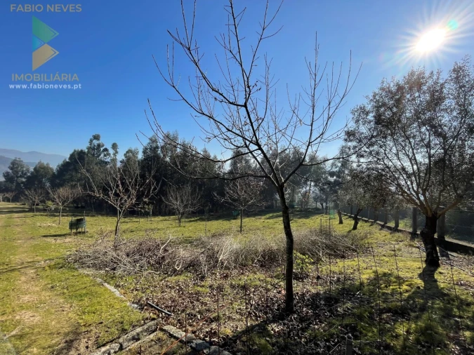 Terreno para Venda em Padreiro (Salvador e Santa Cristina) Foto 10
