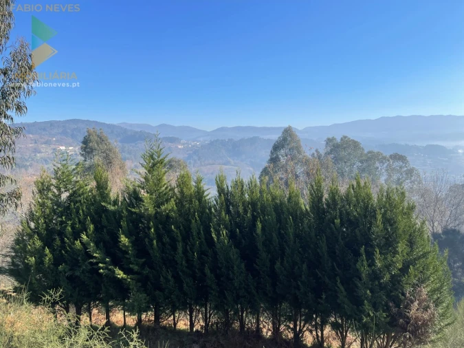 Terreno para Venda em Padreiro (Salvador e Santa Cristina) Foto 27