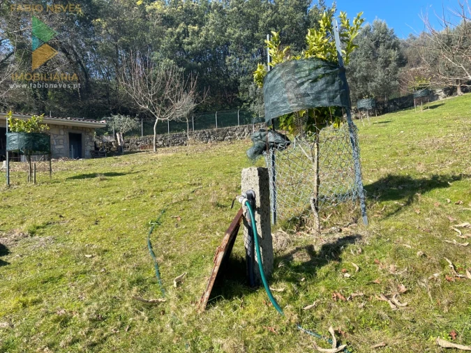 Terreno para Venda em Padreiro (Salvador e Santa Cristina) Foto 28