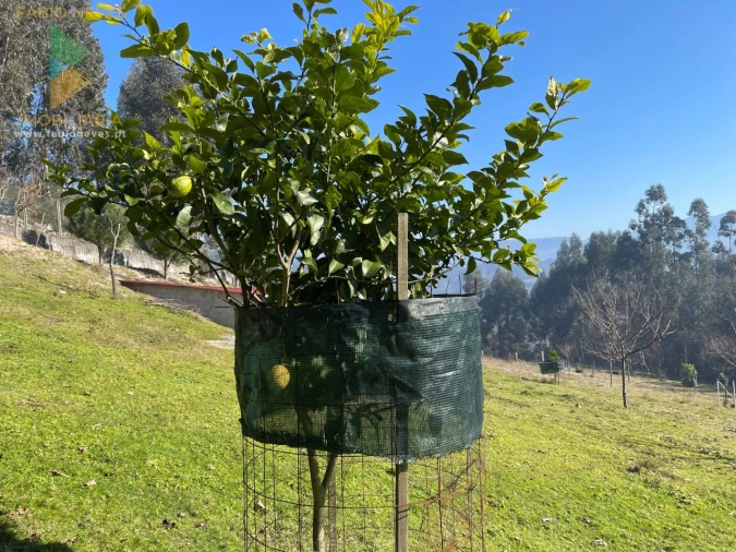 Terreno para Venda em Padreiro (Salvador e Santa Cristina) Foto 36