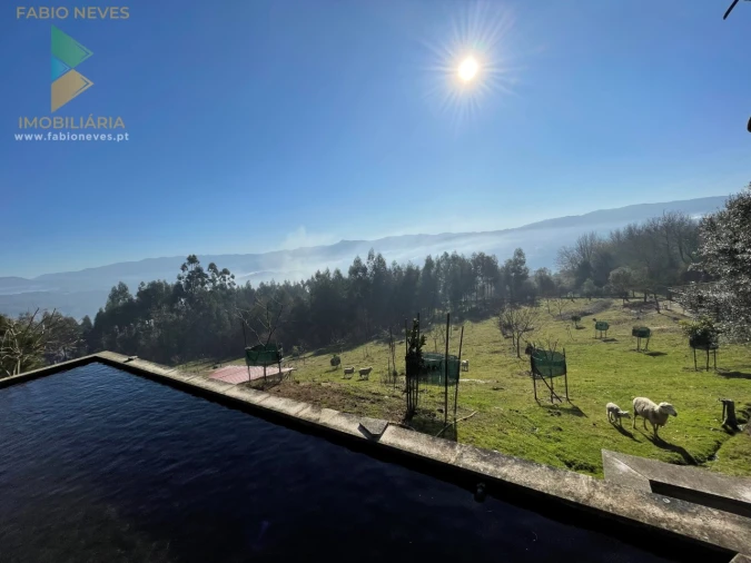 Terreno para Venda em Padreiro (Salvador e Santa Cristina) Foto 1