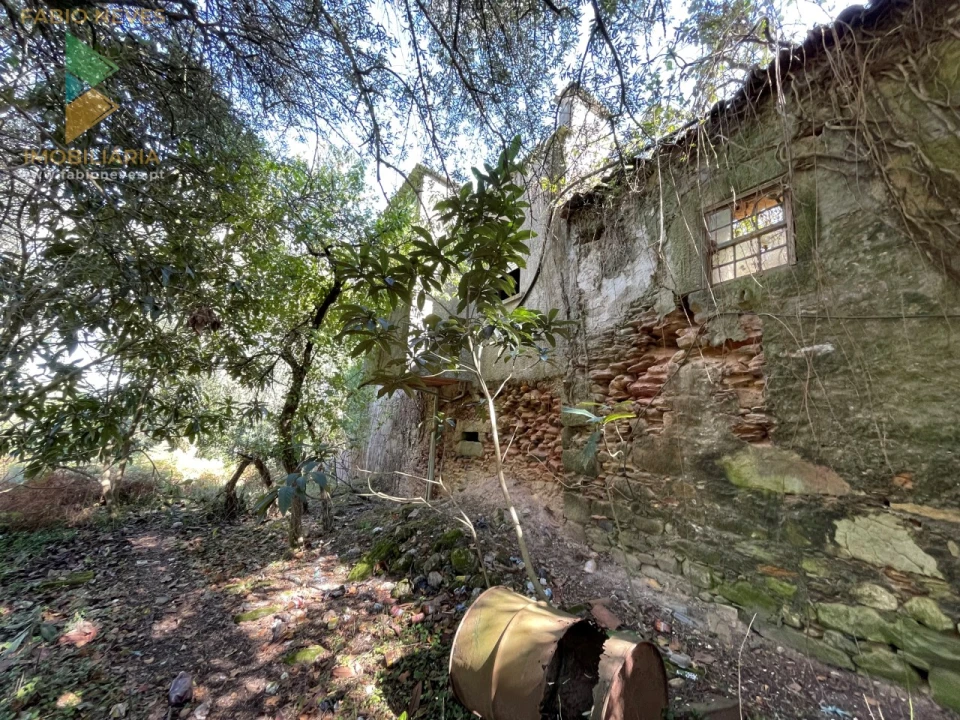 Quinta para Venda em Montaria Foto 10