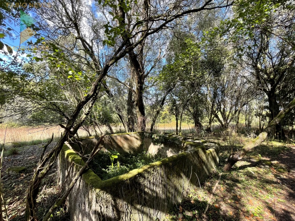 Quinta para Venda em Montaria Foto 11