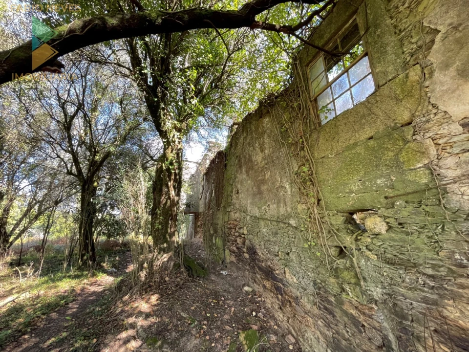 Quinta para Venda em Montaria Foto 12