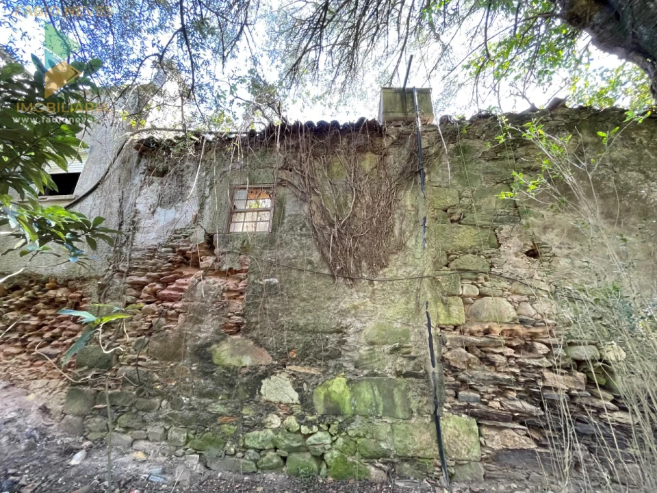 Quinta para Venda em Montaria Foto 14