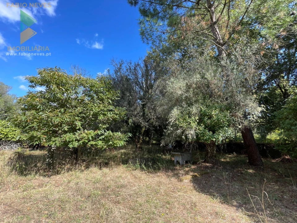 Quinta para Venda em Montaria Foto 21