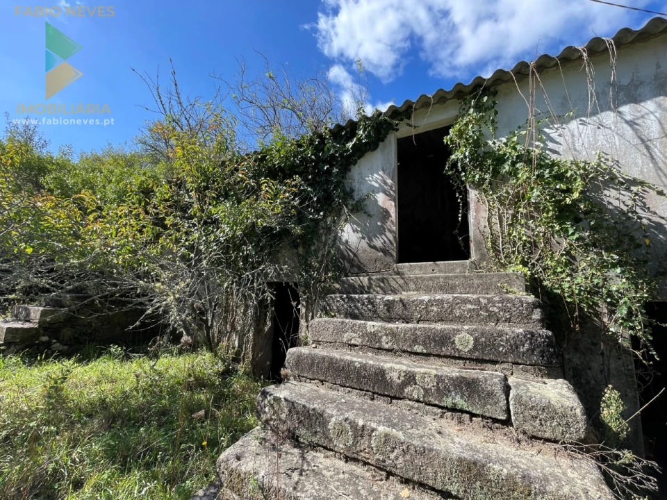 Quinta para Venda em Montaria Foto 22