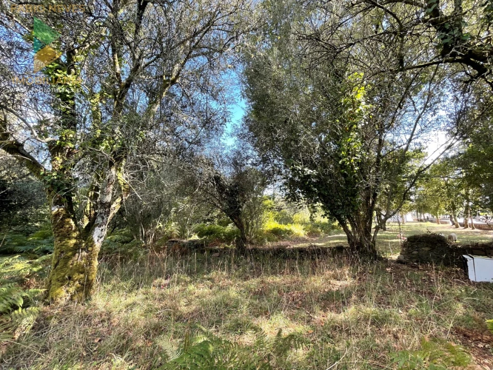 Quinta para Venda em Montaria Foto 24