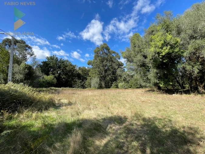 Quinta para Venda em Montaria Foto 5