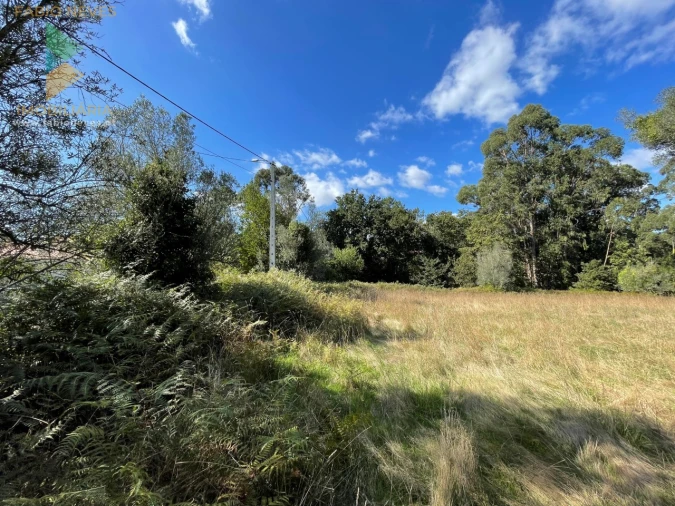 Quinta para Venda em Montaria Foto 7