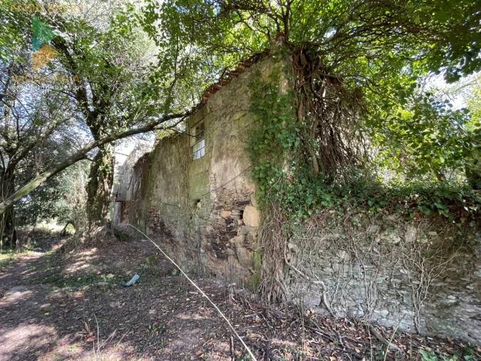 Quinta para Venda em Montaria Foto 9