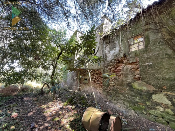 Quinta para Venda em Montaria Foto 10