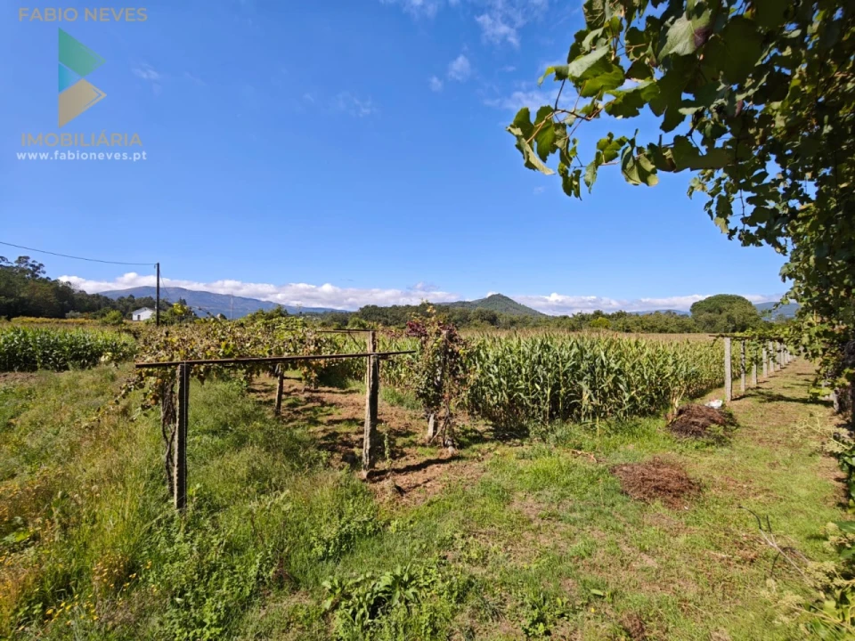 Quinta T5 para Venda em Correlhã Foto 11